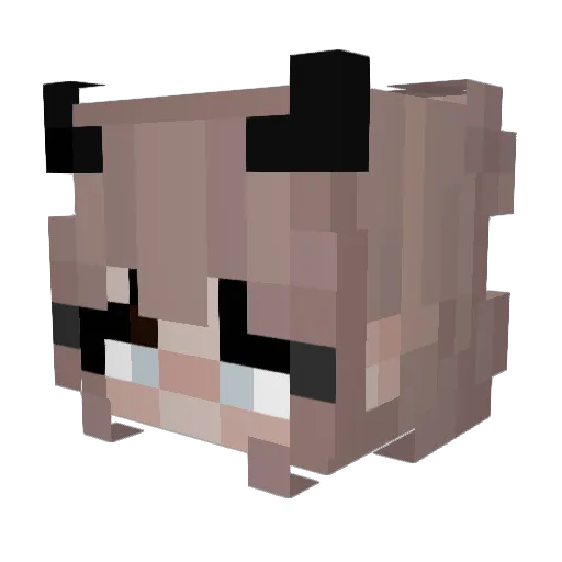 padme123456 Minecraft avatar head, 3D render