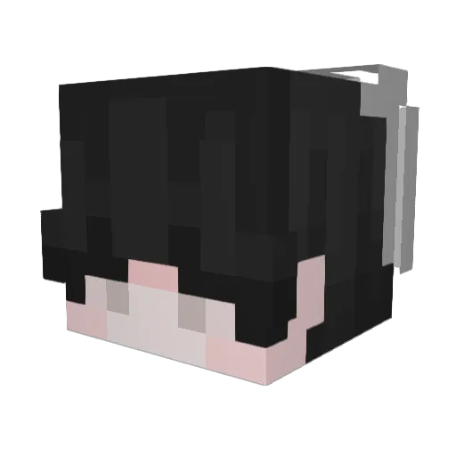 padoju Minecraft avatar head, 3D render