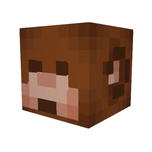 padrigseren Minecraft avatar head, 3D render