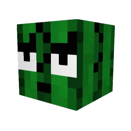 paelliott Minecraft avatar head, 3D render