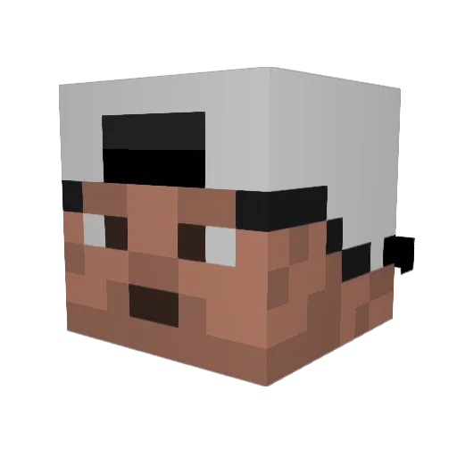 pafepe Minecraft avatar head, 3D render