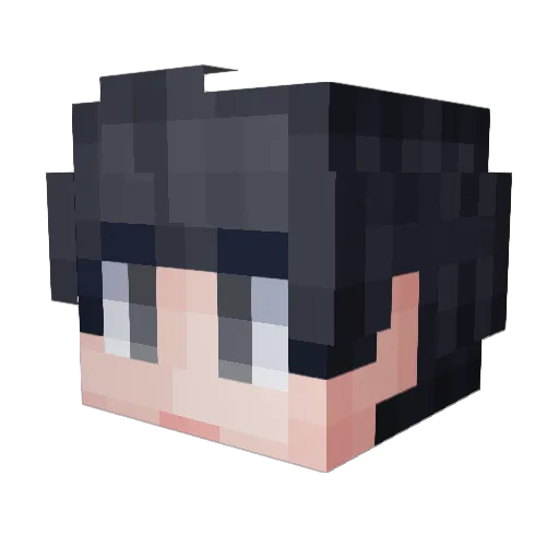 pagk321 Minecraft avatar head, 3D render