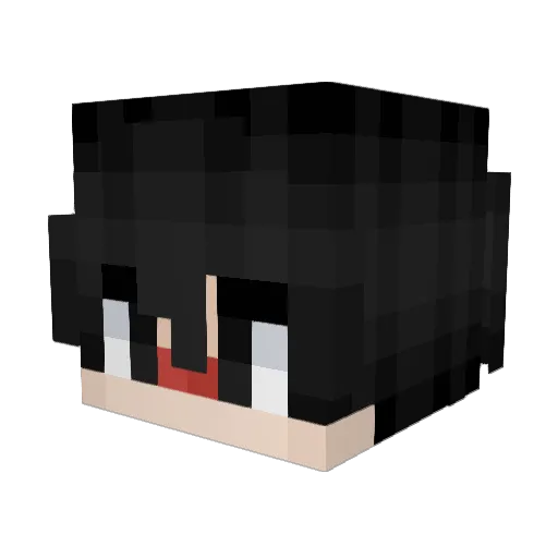 pagls Minecraft avatar head, 3D render