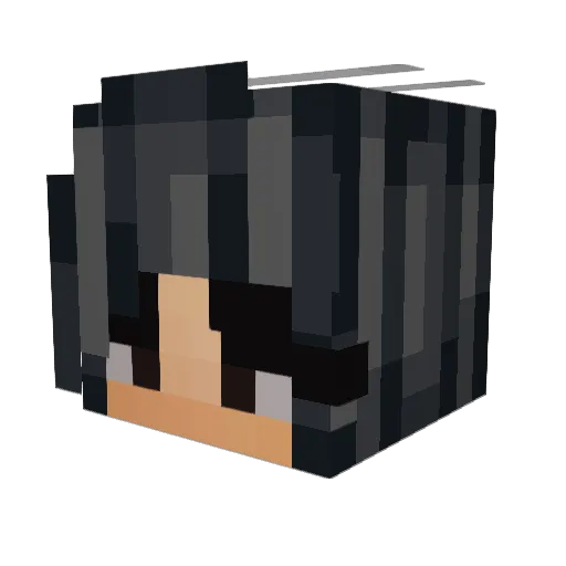 pai2013 Minecraft avatar head, 3D render