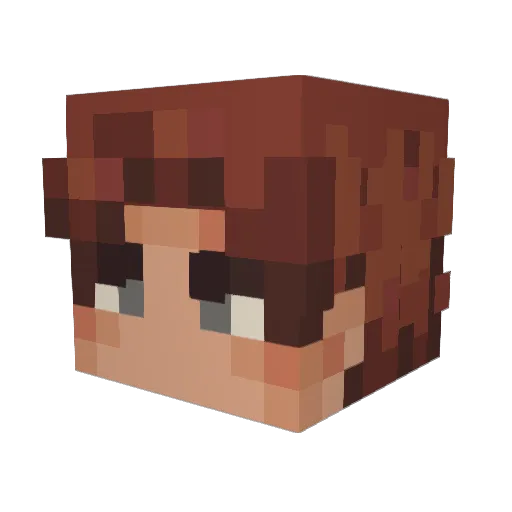 paidi Minecraft avatar head, 3D render