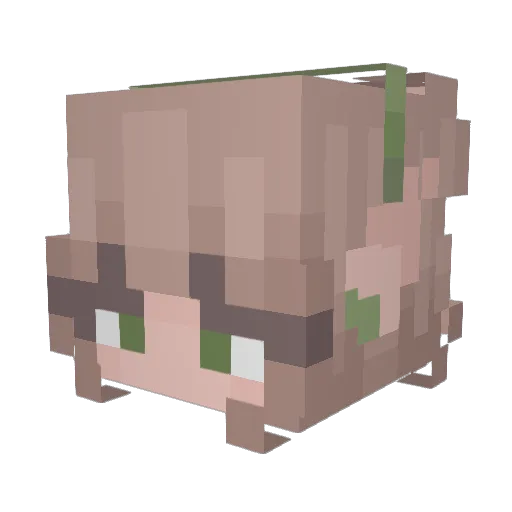 paige_erator Minecraft avatar head, 3D render