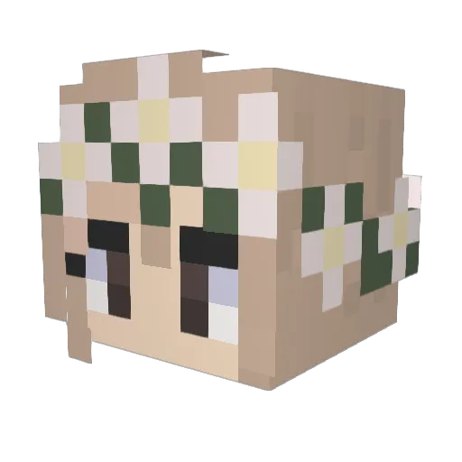 paigedoesstuff Minecraft avatar head, 3D render