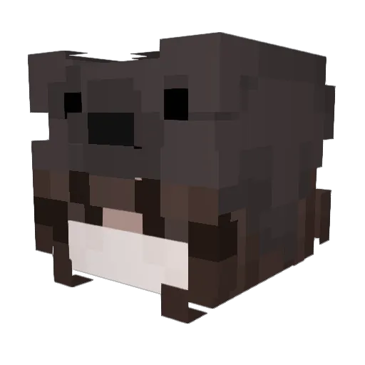 paigee076 Minecraft avatar head, 3D render