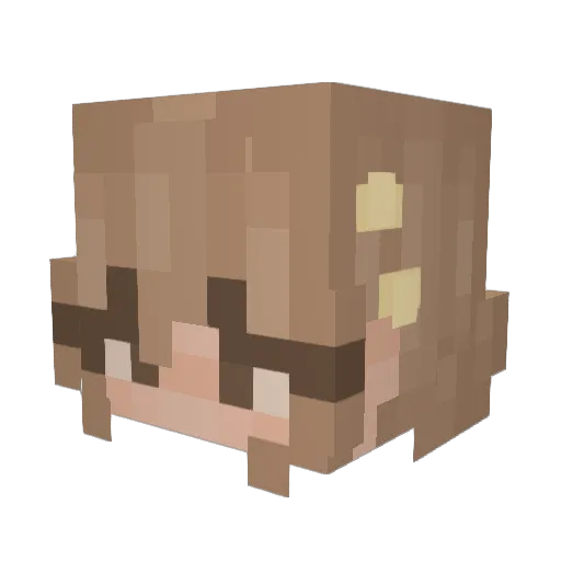 paigenotfound404 Minecraft avatar head, 3D render