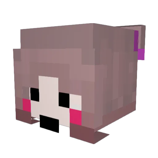 paigeooo Minecraft avatar head, 3D render
