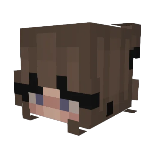 paigewolf251 Minecraft avatar head, 3D render