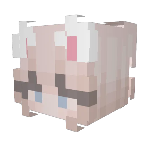 paigeybug Minecraft avatar head, 3D render