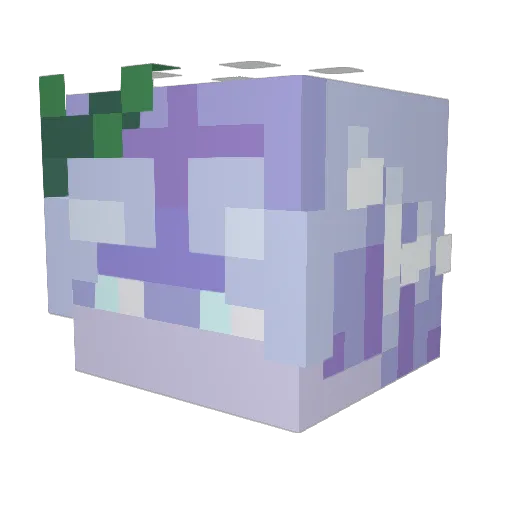 pain0t Minecraft avatar head, 3D render