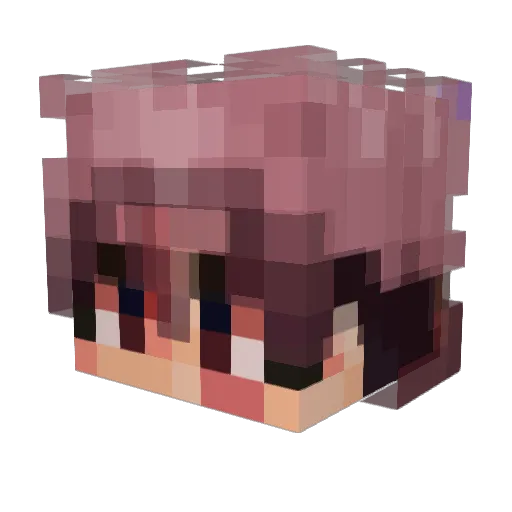 painMolg Minecraft avatar head, 3D render