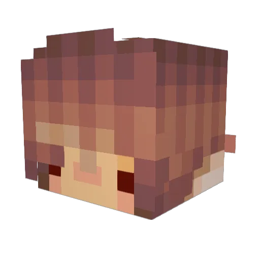pain___ Minecraft avatar head, 3D render