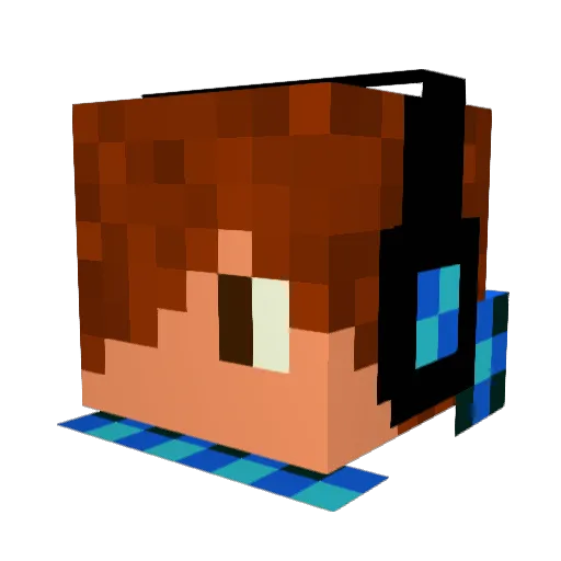 painapple1234 Minecraft avatar head, 3D render