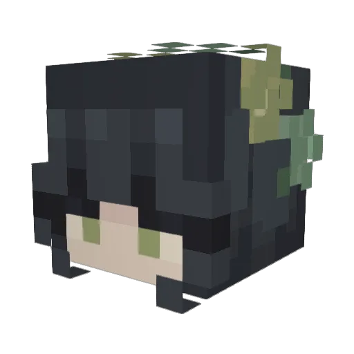 painedglaze4 Minecraft avatar head, 3D render