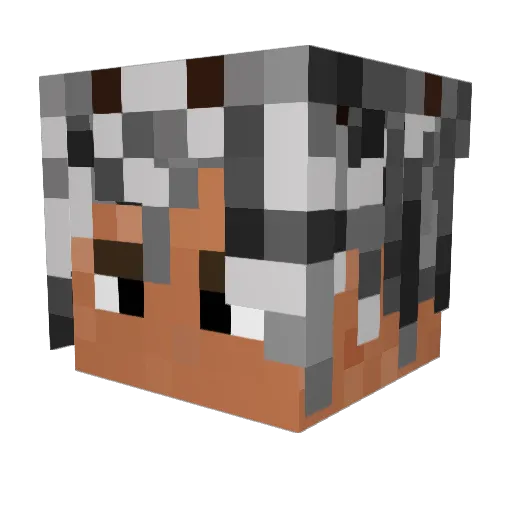 paingaa Minecraft avatar head, 3D render