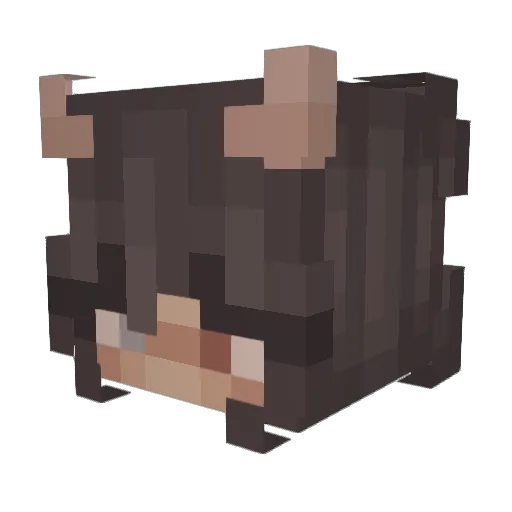 paint_jar Minecraft avatar head, 3D render