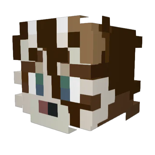 paintjob Minecraft avatar head, 3D render