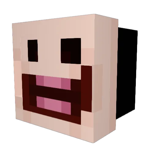 paisleypeacock Minecraft avatar head, 3D render