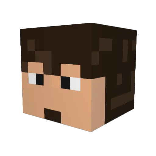 paivits Minecraft avatar head, 3D render