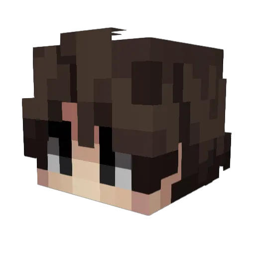 pajer0 Minecraft avatar head, 3D render