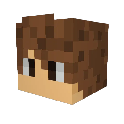 pajolo Minecraft avatar head, 3D render