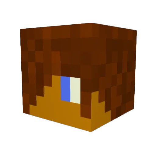 pajper2002 Minecraft avatar head, 3D render