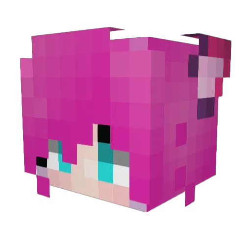 pajuska11 Minecraft avatar head, 3D render