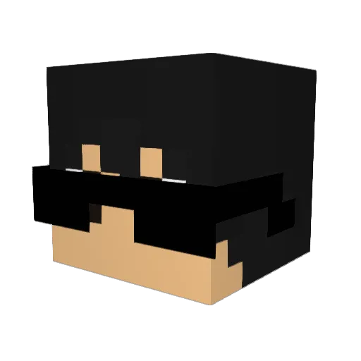 pakitonitoxd Minecraft avatar head, 3D render