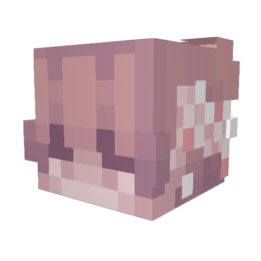 pakk_prett Minecraft avatar head, 3D render