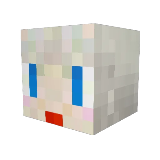 pakki_144 Minecraft avatar head, 3D render
