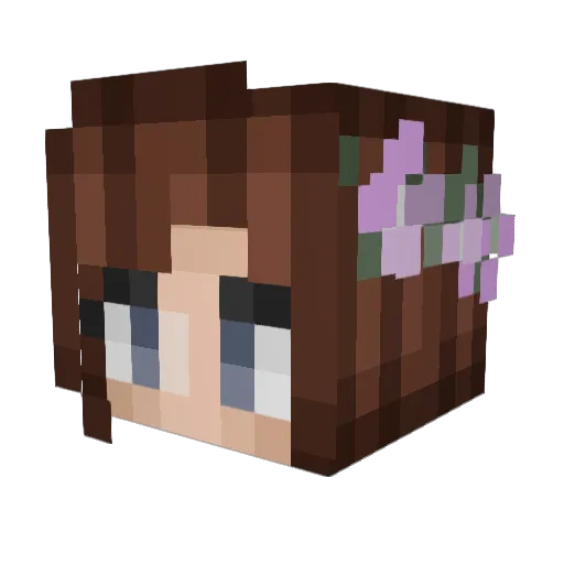 pakleau Minecraft avatar head, 3D render