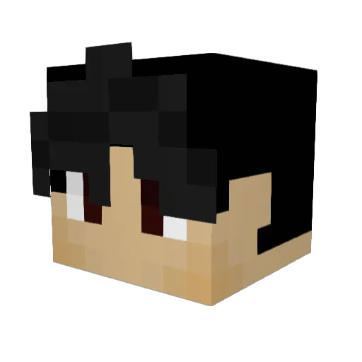 pakoi Minecraft avatar head, 3D render