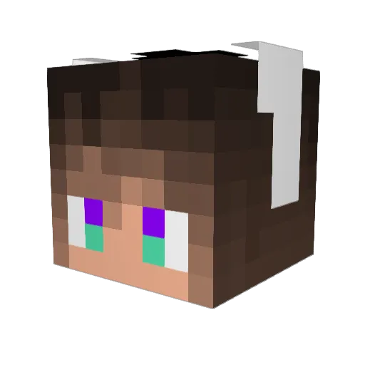 pakuchan365 Minecraft avatar head, 3D render
