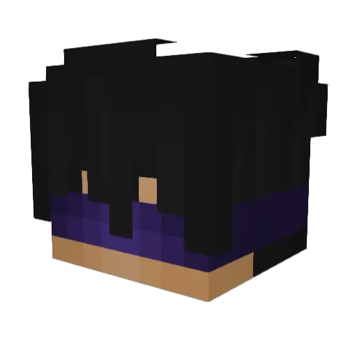 pakula13 Minecraft avatar head, 3D render