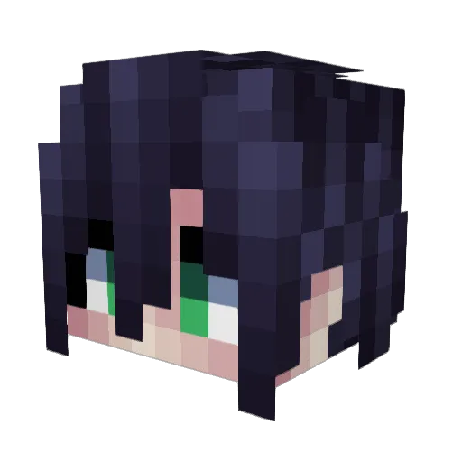 pakyuuu Minecraft avatar head, 3D render