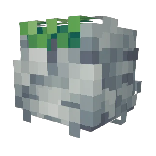 paladinivy Minecraft avatar head, 3D render