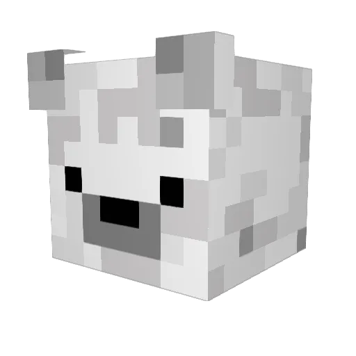 paladinjr Minecraft avatar head, 3D render