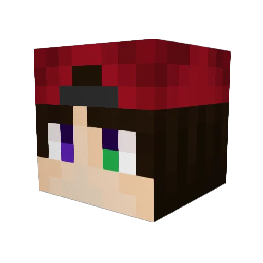 paladium_brokenn Minecraft avatar head, 3D render