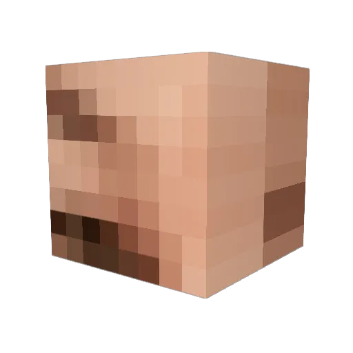 paladoz Minecraft avatar head, 3D render