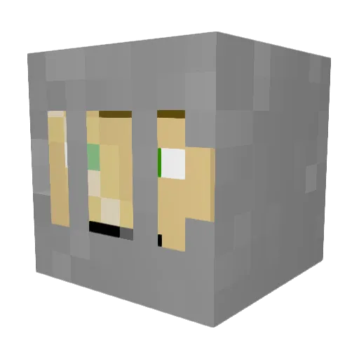 paladriaan Minecraft avatar head, 3D render