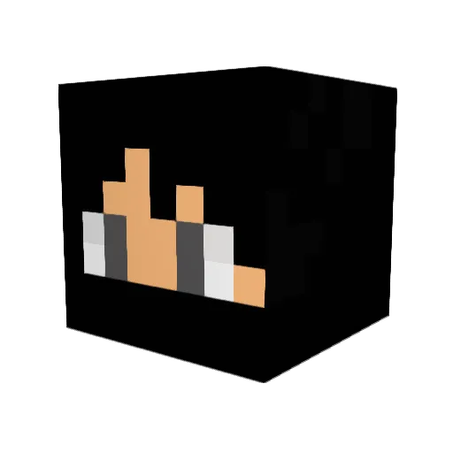 paladyn_lowca Minecraft avatar head, 3D render