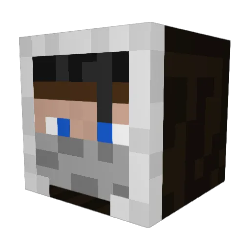 palaeosaniwa Minecraft avatar head, 3D render