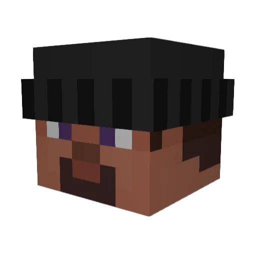 palaupvp Minecraft avatar head, 3D render