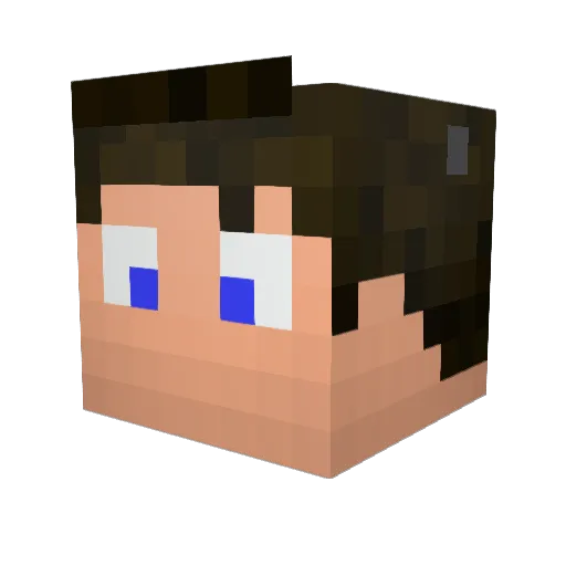 palaves Minecraft avatar head, 3D render