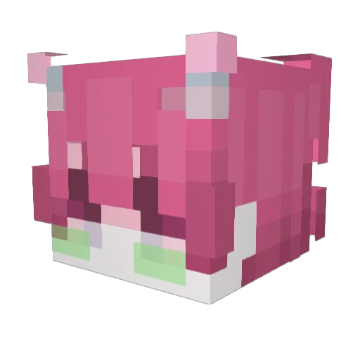 palemachine Minecraft avatar head, 3D render