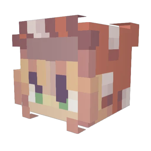paleshadow Minecraft avatar head, 3D render