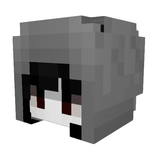 palet4 Minecraft avatar head, 3D render